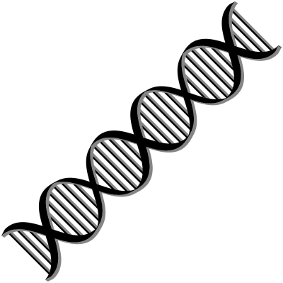 Dna Download Png File Hd - Dna Download Png File Hd (400x399)