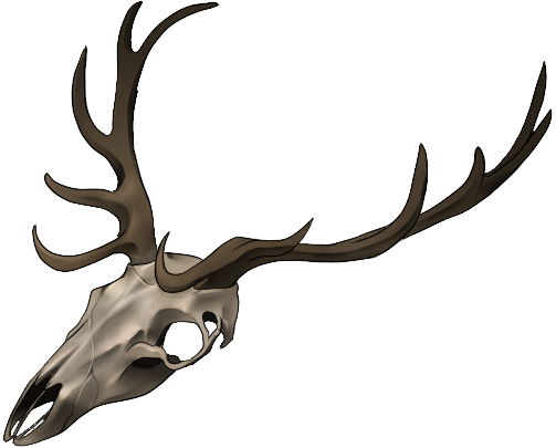 Deer By Momma-kuku - Deer By Momma-kuku (503x405)