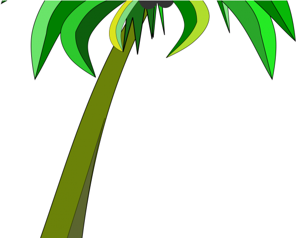 Palm Tree Clipart Khajur Tree - Palm Tree Clipart Khajur Tree (640x480)