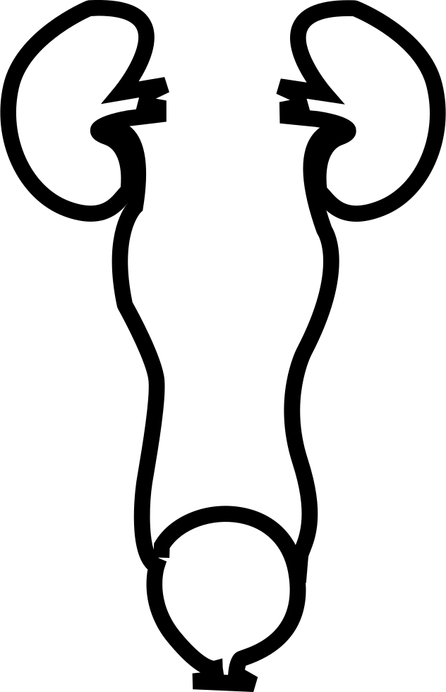 Minimally Invasive Calculus Comments - Minimally Invasive Calculus Comments (632x980)