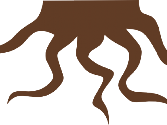 Roots Clipart Cartoon - Roots Clipart Cartoon (640x480)