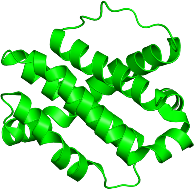 <div Class='caption-body'>1 Copy Of Cath Domain < - <div Class='caption-body'>1 Copy Of Cath Domain < (800x800)