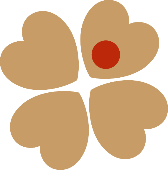 The Stiliyan Petrov Foundation - The Stiliyan Petrov Foundation (570x576)