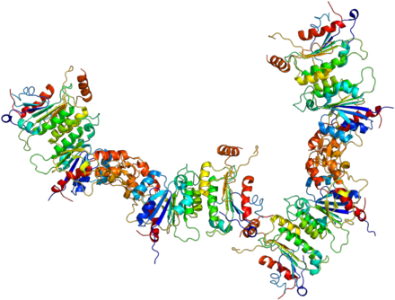 Epigenetics In Aml - Epigenetics In Aml (500x417)