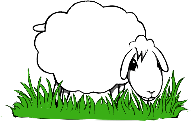 What Do I Do On My Juniper Meadows - What Do I Do On My Juniper Meadows (800x552)