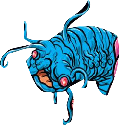 A Deep-sea Worm With No Common Name - A Deep-sea Worm With No Common Name (388x408)