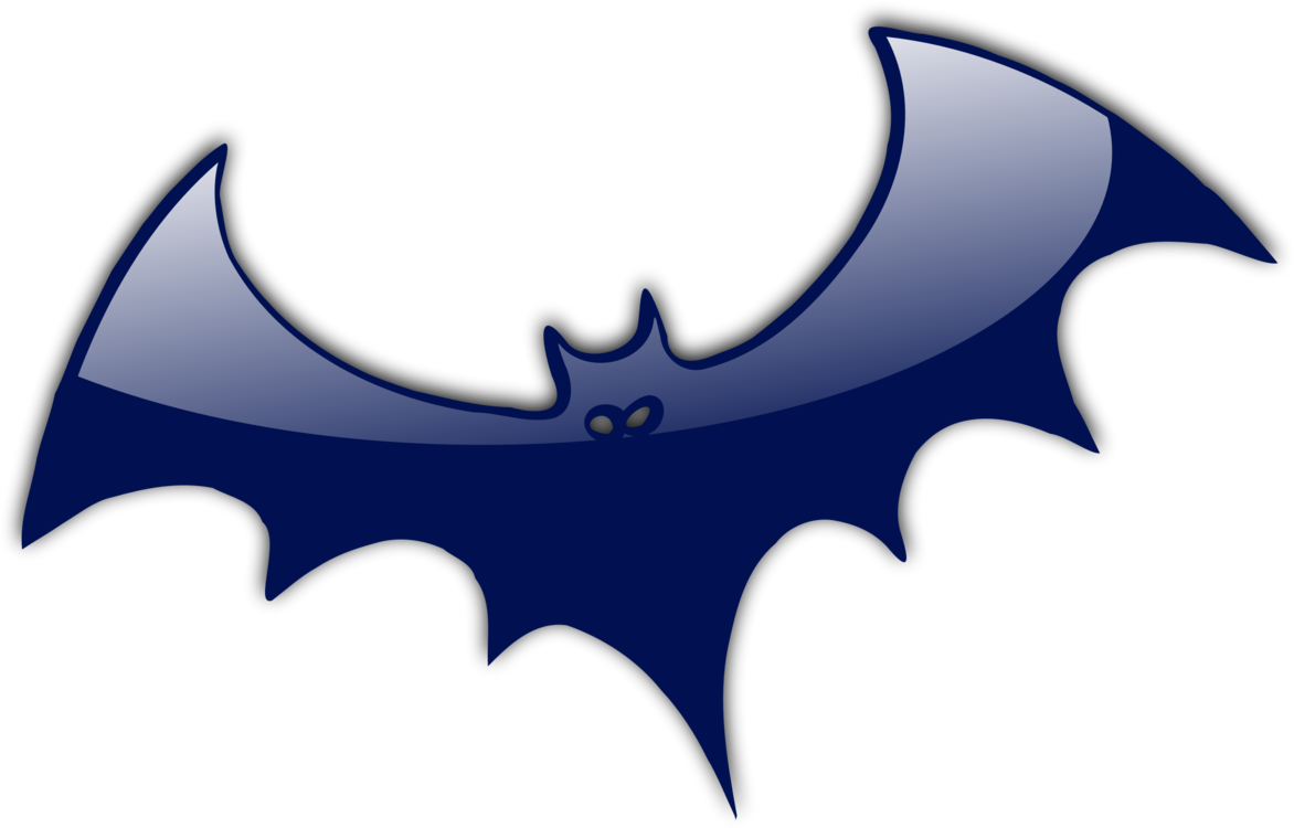All Photo Png Clipart - All Photo Png Clipart (1172x750)