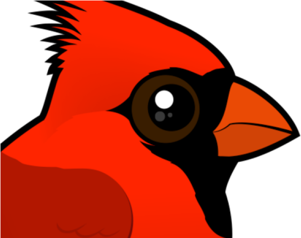 Cardinal Clipart Cardinal Head - Cardinal Clipart Cardinal Head (640x480)