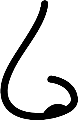 Nose Line Vector - Nose Line Vector (400x400)