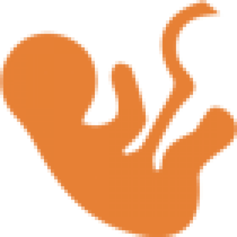 Cervical Biopsy - Cervical Biopsy (480x480)