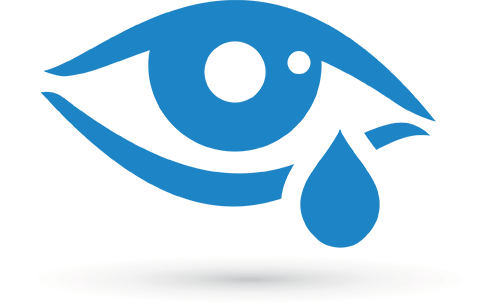 Tears Normally Drain Into Small Holes Located In The - Tears Normally Drain Into Small Holes Located In The (500x307)