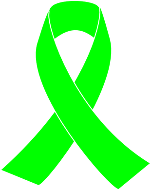 Lime Green Is The Awareness Ribbon Color For Lymphoma - Lime Green Is The Awareness Ribbon Color For Lymphoma (310x390)