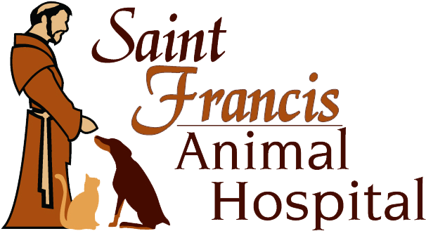 Saint Francis Hospital Little - Saint Francis Hospital Little (625x344)