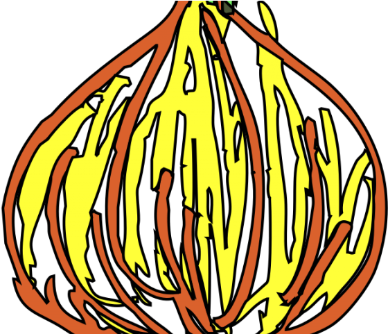Onion Clipart Full - Onion Clipart Full (640x480)