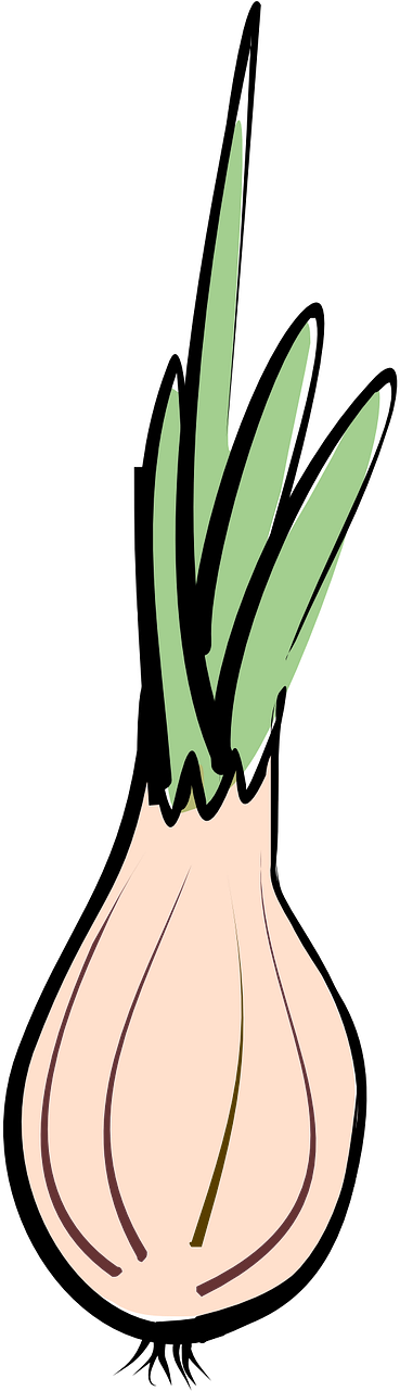 Onion A Vegetable Vegetables Transparent Image - Onion A Vegetable Vegetables Transparent Image (640x1280)