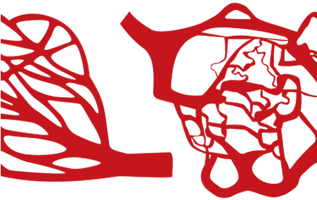 Clip Art Blood Vessels Clipart - Clip Art Blood Vessels Clipart (450x300)