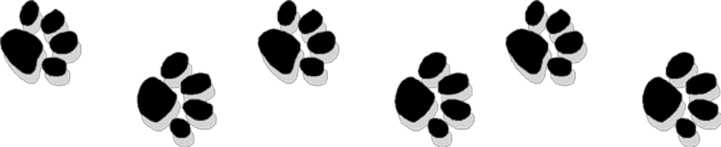 Paw Clipart Saber - Paw Clipart Saber (1024x209)