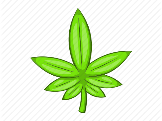 Cartoon Weed Plant - Cartoon Weed Plant (640x480)