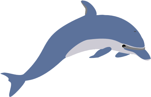 Cute Clipart Dolphin Png Image - Cute Clipart Dolphin Png Image (589x380)