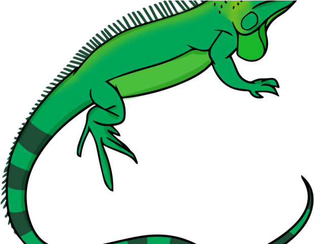 Cute Clipart Iguana - Cute Clipart Iguana (640x480)