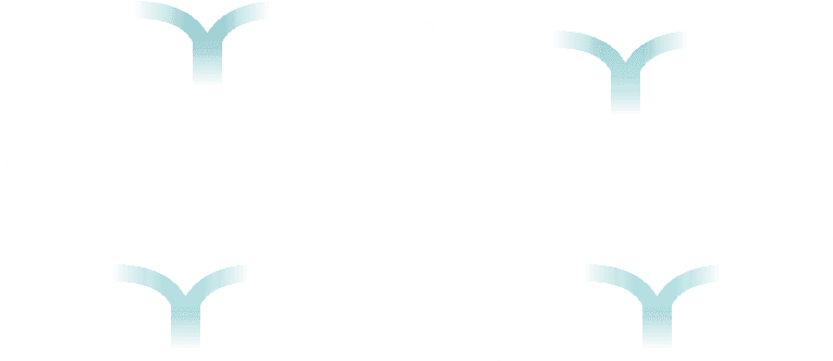 Flat Roof Renovation - Flat Roof Renovation (900x380)