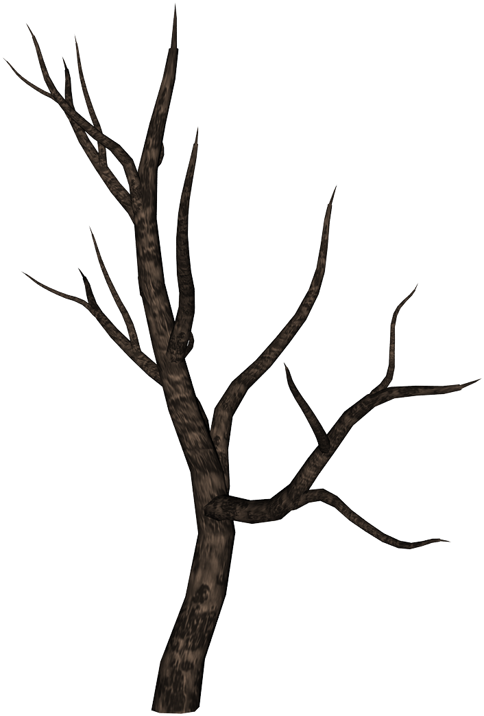 Tree Branches Png - Tree Branches Png (761x1126)
