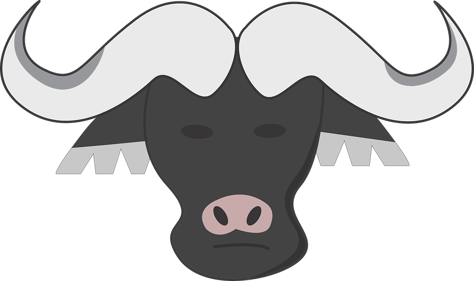 Buffalo Milk Is Good For Healthy Bones Dental Health - Buffalo Milk Is Good For Healthy Bones Dental Health (960x569)