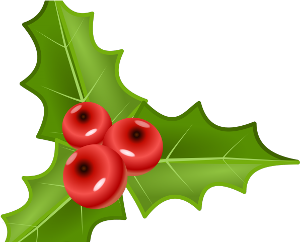 Winter Clipart Holly - Winter Clipart Holly (640x480)