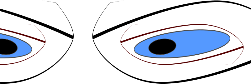 Medium Image - Medium Image (800x1131)