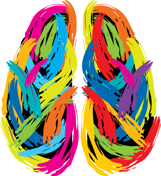 Brain Illustration - Brain Illustration (620x678)