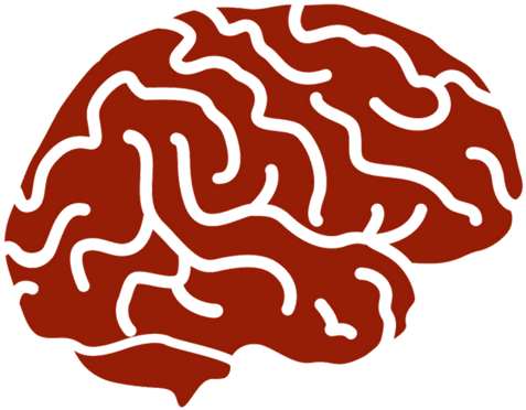 Studies Of Both Pianists And Violinists Have Found - Studies Of Both Pianists And Violinists Have Found (500x500)