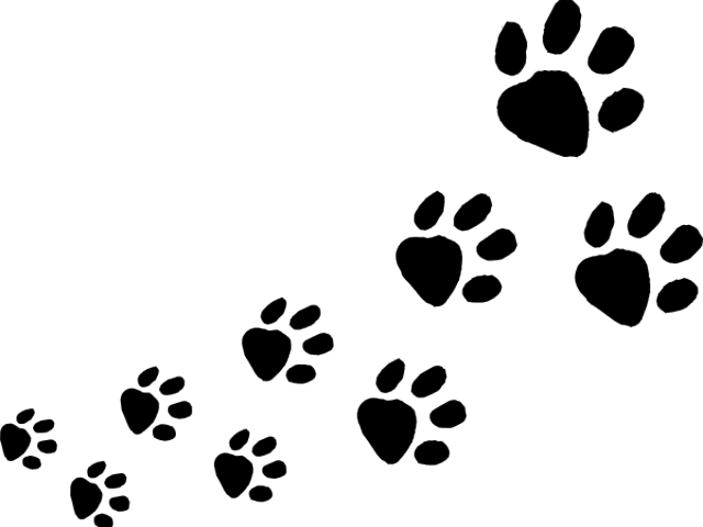 Dog Foot Prints Logo - Dog Foot Prints Logo (640x480)