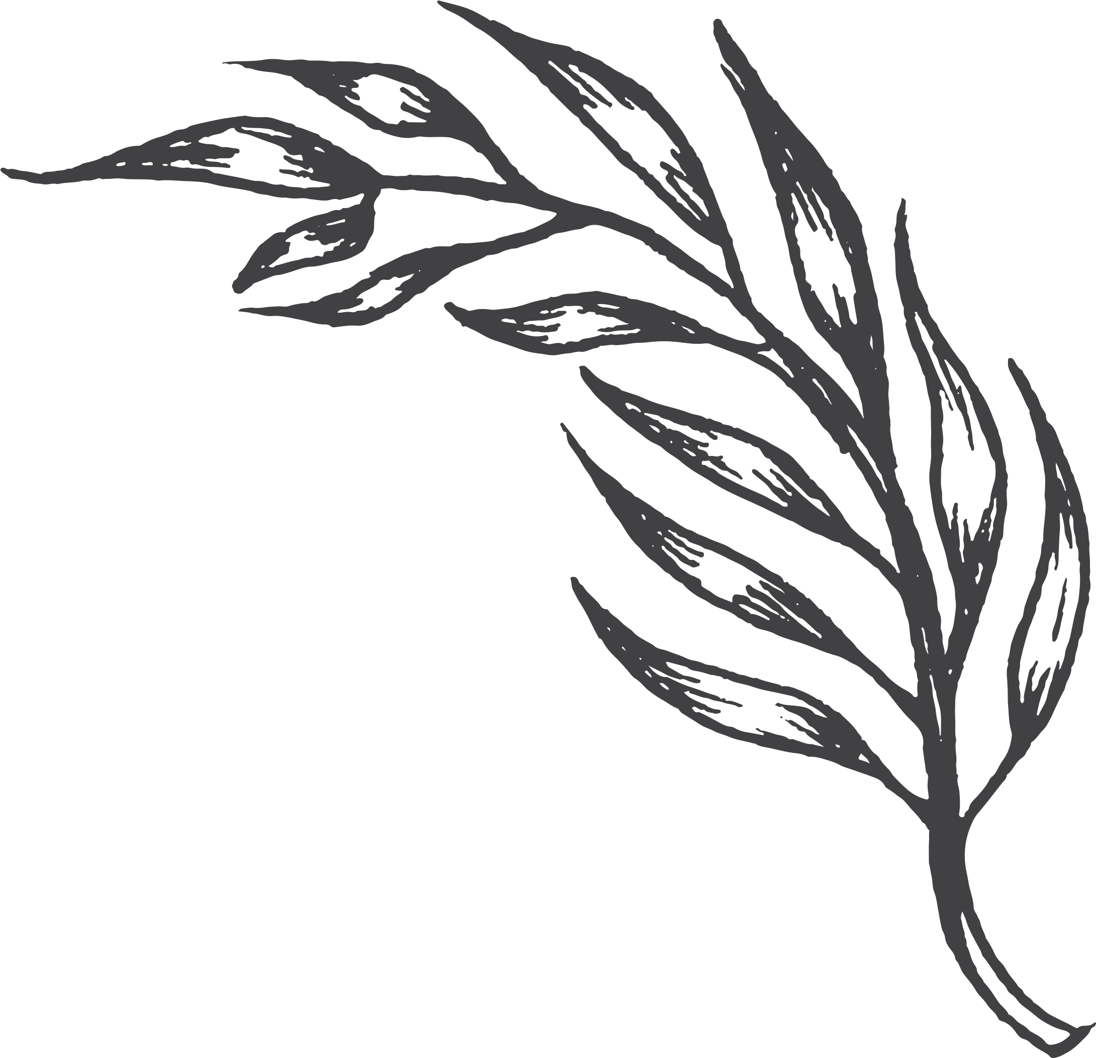 A Brief History Of The Portuguese In Hawai`i - A Brief History Of The Portuguese In Hawai`i (2400x2242)