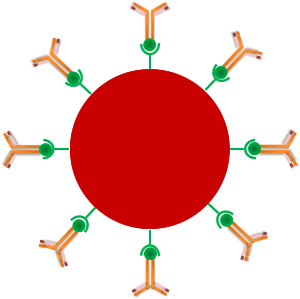 Pros And Cons Of Classical Biolinks - Pros And Cons Of Classical Biolinks (600x598)