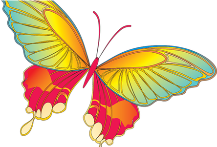 Microsoft Clipart Butterfly - Microsoft Clipart Butterfly (450x300)