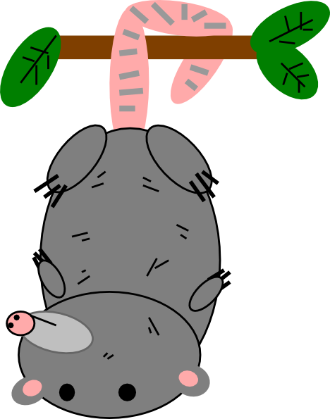Possum Clipart - Possum Clipart (468x595)