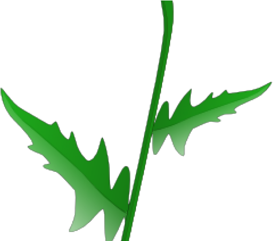 Single Clipart Transparent - Single Clipart Transparent (640x480)