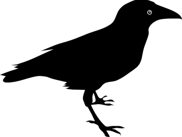 Raven Clipart Indian Crow - Raven Clipart Indian Crow (640x480)