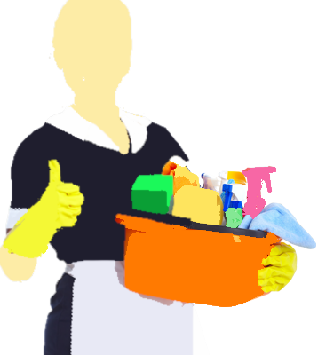 Maid In Singapore Available To Suit Your Needs - Maid In Singapore Available To Suit Your Needs (358x400)