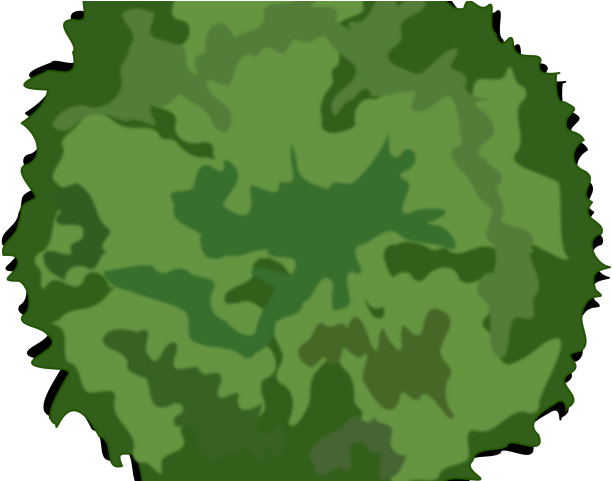 Tropical Clipart Tree Top - Tropical Clipart Tree Top (640x480)