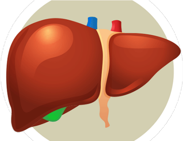 Fish Taco Clipart Walking Taco - Fish Taco Clipart Walking Taco (640x480)