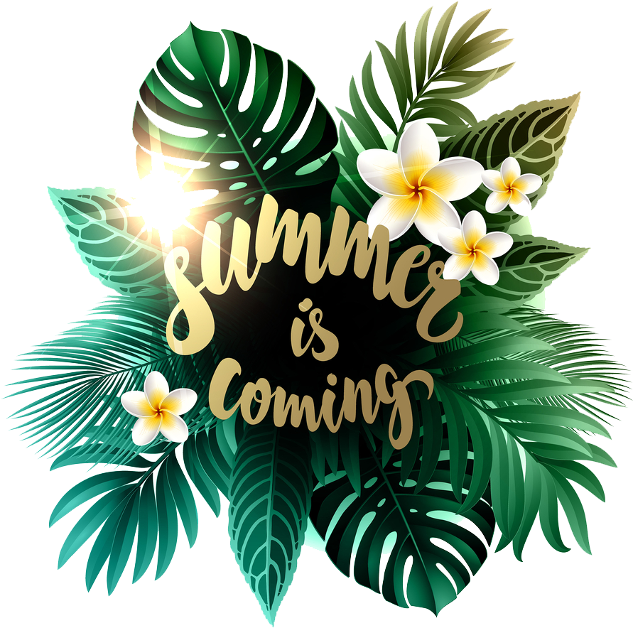 Free Summer Is Comming Png Image - Free Summer Is Comming Png Image (1000x1000)
