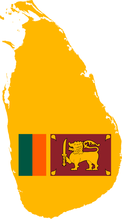 Sri Lanka Bus Explosion Injures 19, Including 12 Military - Sri Lanka Bus Explosion Injures 19, Including 12 Military (417x749)