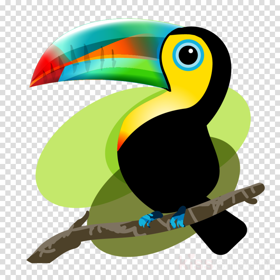 Tucan Animado Png Clipart Toucan Bird Clip Art - Tucan Animado Png Clipart Toucan Bird Clip Art (900x900)