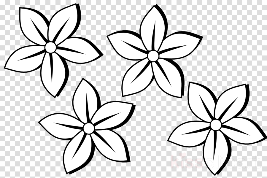 Black And White Flowers Clip Art Clipart Drawing Clip - Black And White Flowers Clip Art Clipart Drawing Clip (900x600)