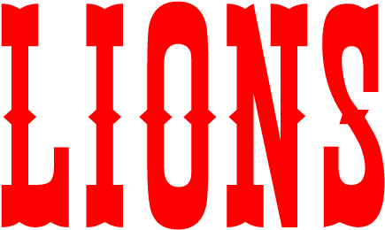 Detroit Lions - Detroit Lions (1200x300)