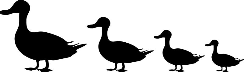 Home - Home (800x238)