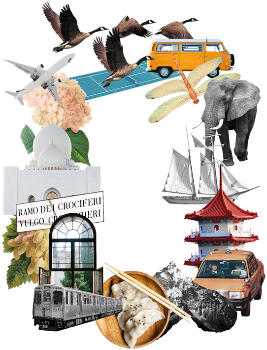 A Year-round Travel Club - A Year-round Travel Club (600x846)