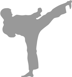 Lubbock Karate Premier Martial Arts Lubbock - Lubbock Karate Premier Martial Arts Lubbock (380x380)
