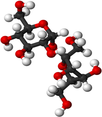 Coolest Images That Represent Strength Pound Ground - Coolest Images That Represent Strength Pound Ground (375x420)
